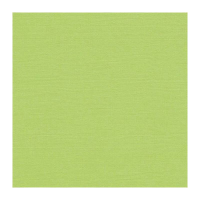 Pack de 5 Cartulinas Texturizadas Pistachio 30x30 cm