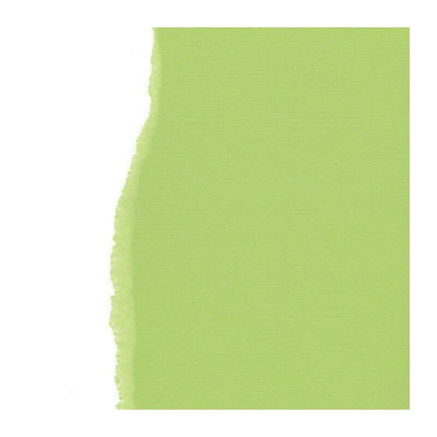 Pack de 5 Cartulinas Texturizadas Pistachio 30x30 cm
