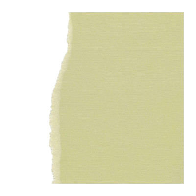 Pack de 5 Cartulinas Texturizadas Light Olive 30x30 cm