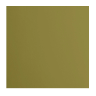 Pack de 10 Cartulinas LisaAcacia 30x30 cm