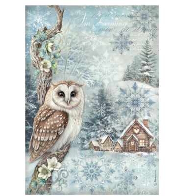 The Owl´s House Papel de Arroz A4- Stamperia