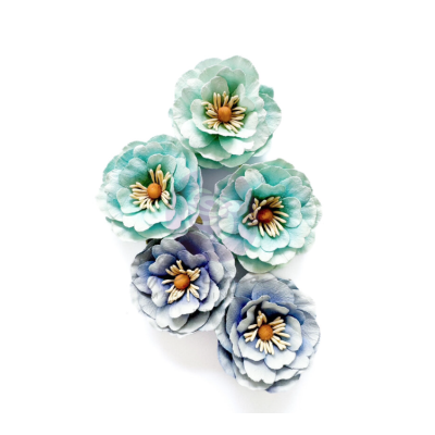 Flores Prima