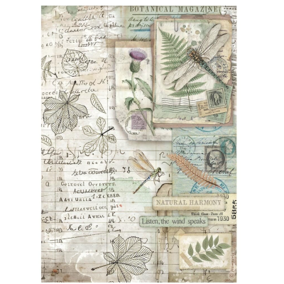 Herbarium Silvae Papel de Arroz A4- Stamperia