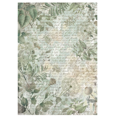 Herbarium Silvae Papel de Arroz A4- Stamperia