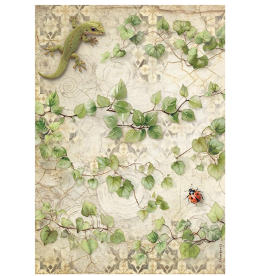 All Around Papel de Arroz A4- Stamperia
